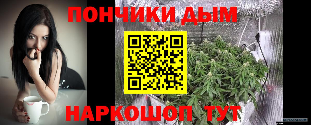 Бошки Шишки THC 21% Кострома
